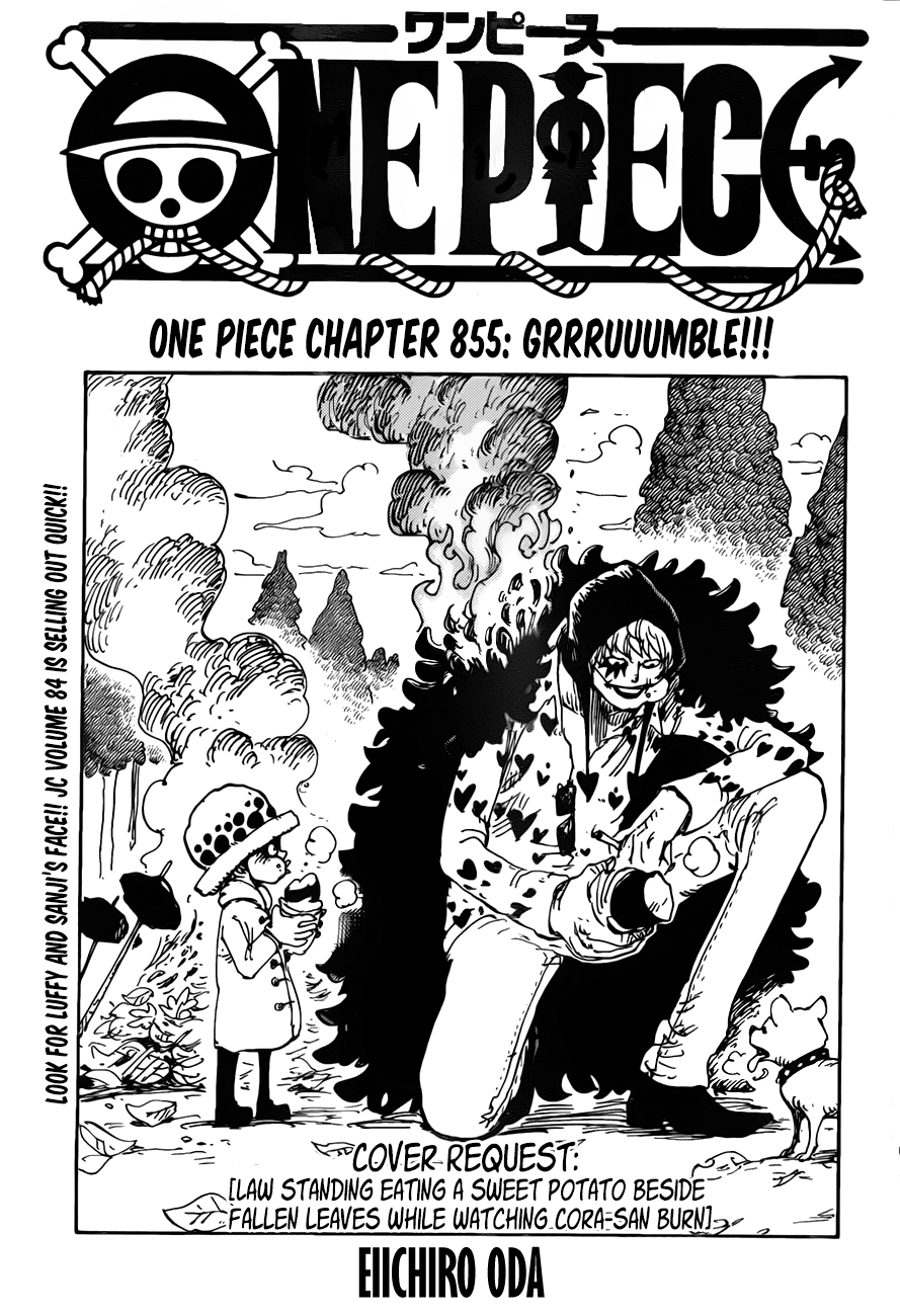 One Piece, Chapter 855 image 01